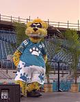 Jaxson Deville, the Jacksonville Jaguars infamous mascot.